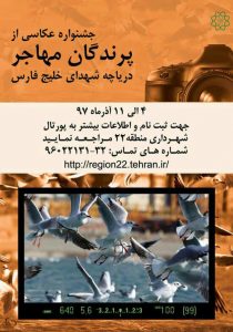 فراخوان جشنواره عکاسی از پرندگان دریاچه شهدای خلیج فارس